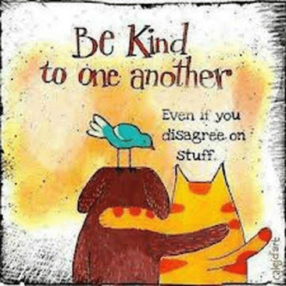 Kindness is key ❤️